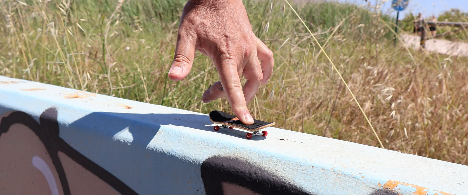 <strong>Professional Fingerboard Shop</strong>