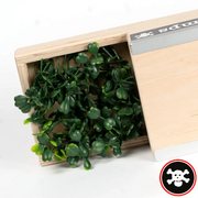 Blackriver Box 4 fingerboard obstacle – view 3