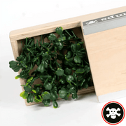 Blackriver Fingerboard Ramps - Box 4 - Caramel Fingerboards - Fingerboard store