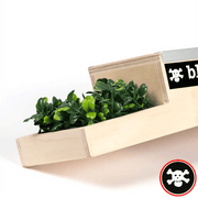 Blackriver Fingerboard Ramps - Box 4 - Caramel Fingerboards - Fingerboard store