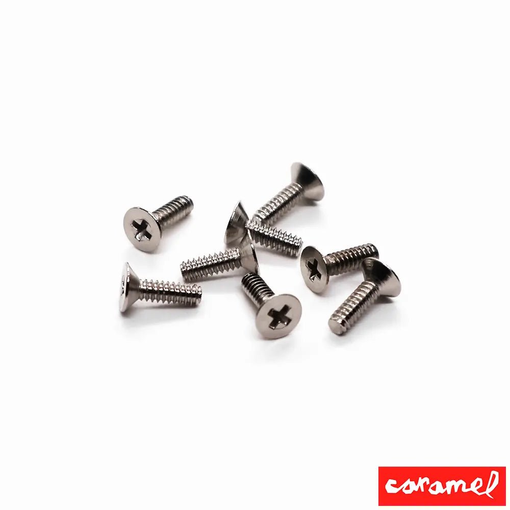 Caramel Silver Screws For Fingerboard