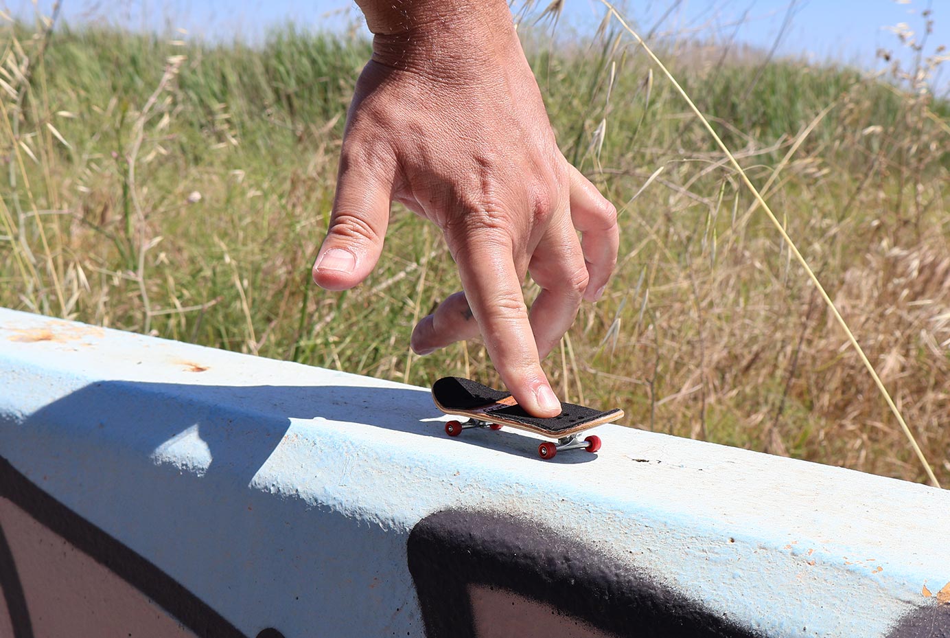 Professional Fingerboard Shop